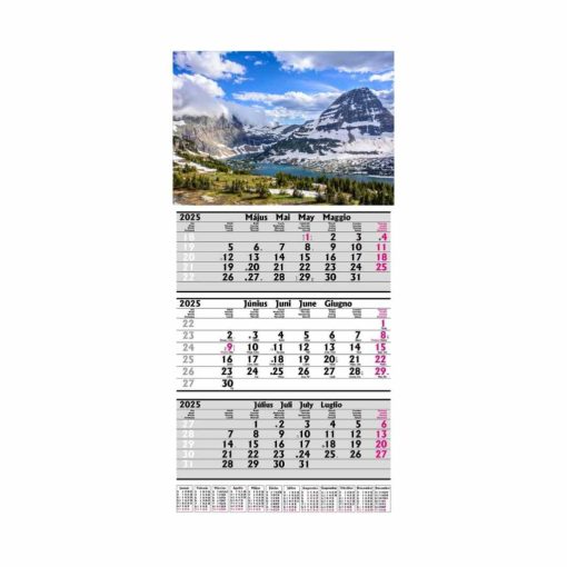 Speditőr naptár havas tájkép fejléccel (20-49 db)